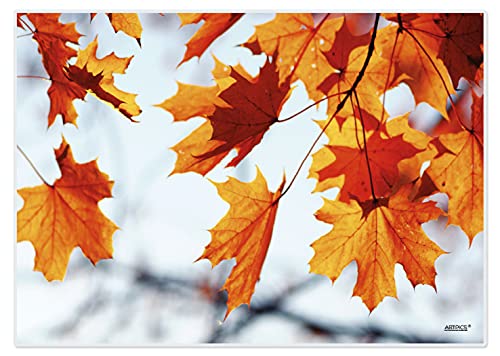 Artipics Tischsets Autumn Leaves Platzsets Abwaschbar Aus Kunststoff 4 Stück von ARTIPICS Tischkunst