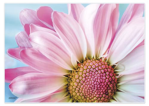 Artipics Tischsets Happy Daisy Platzsets Abwaschbar Aus Kunststoff 4 Stück von ARTIPICS Tischkunst