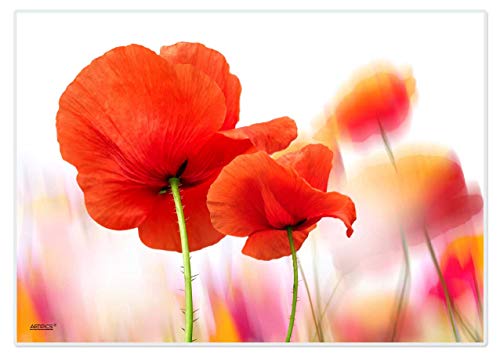 Artipics Tischsets Klatschmohn Platzsets Abwaschbar Aus Kunststoff 4 Stück Artipics Tischsets Klatschmohn Platzsets Abwaschbar Aus Kunststoff 4 Stück von Birsppy