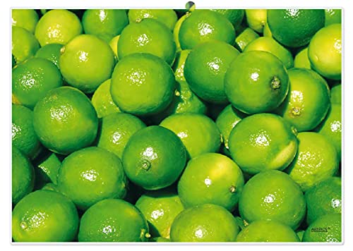 Artipics Tischsets Limoni Platzsets Abwaschbar Kunststoff 4 Stück von ARTIPICS Tischkunst