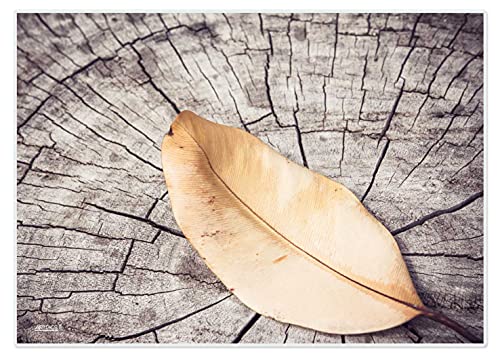 Artipics Tischsets Lost Leaves 2 Platzsets Abwaschbar Aus Kunststoff 4 Stück Artipics Tischsets Lost Leaves 2 Platzsets Abwaschbar Aus Kunststoff 4 Stück von ARTIPICS Tischkunst