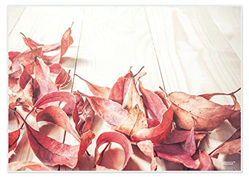Artipics Tischsets Lost Leaves 3 Platzsets Abwaschbar Aus Kunststoff 4 Stück von ARTIPICS Tischkunst