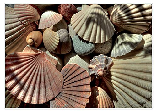 Artipics Tischsets Muscheln Platzsets Abwaschbar Kunststoff 4 Stück von ARTIPICS Tischkunst