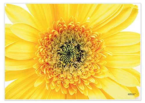Artipics Tischsets Sunny Platzsets Abwaschbar Aus Kunststoff 4 Stück je 42 x 30 cm Platzdeckchen Sommerliche Fröhliche Tischdeko Für Küche/Essbereich/Gäste/Drinnen/Draußen von ARTIPICS Tischkunst
