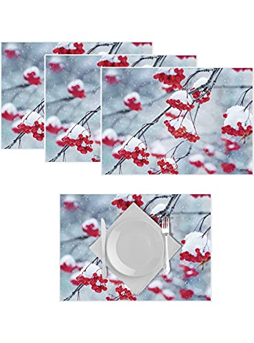 Artipics Tischsets Winterbeeren Platzsets Abwaschbar Aus Kunststoff 4 Stück von ARTIPICS Tischkunst