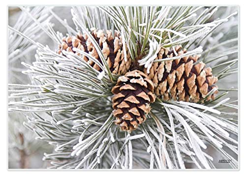 Artipics Tischsets Winterzapfen Platzsets Abwaschbar Aus Kunststoff 4 Stück von ARTIPICS Tischkunst