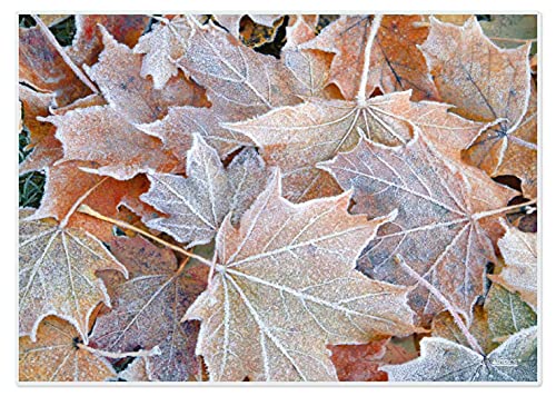 Artipics Tischsets Frostblätter Herbst Platzsets Abwaschbar Kunststoff 4 STK. von ARTIPICS