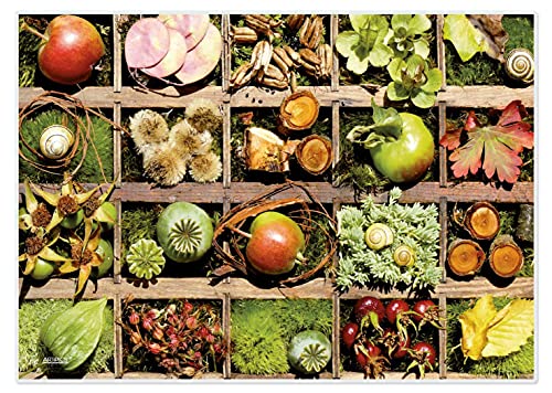 Artipics Tischsets Herbstkästchen Platzsets Abwaschbar Aus Kunststoff 4 Stück von ARTIPICS Tischkunst
