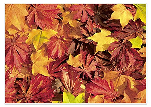 Artipics Tischsets Herbstlaub Platzsets Abwaschbar Aus Kunststoff 4 Stück von ARTIPICS Tischkunst