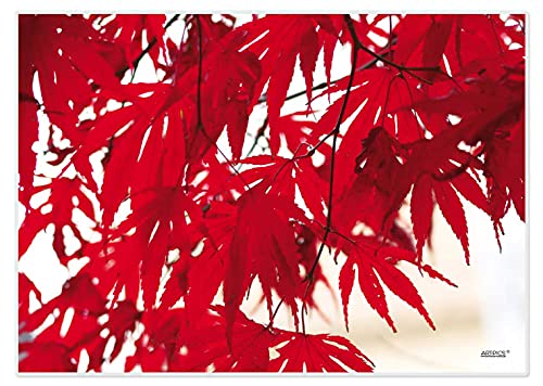 Artipics Tischsets Japanischer Ahorn Platzsets Abwaschbar Kunststoff 4 Stück von ARTIPICS Tischkunst