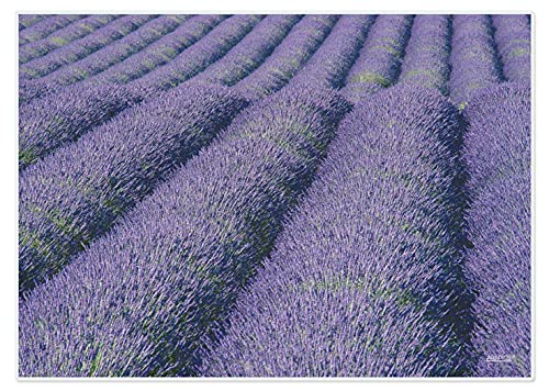 Artipics Tischsets Lavanda Platzsets Lavendel Abwaschbar Aus Kunststoff 4 Stück von ARTIPICS Tischkunst