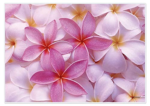 Tischsets abwaschbar Frangipani von ARTIPICS 4er-Set Platzset Kunststoff 42x30 cm von ARTIPICS