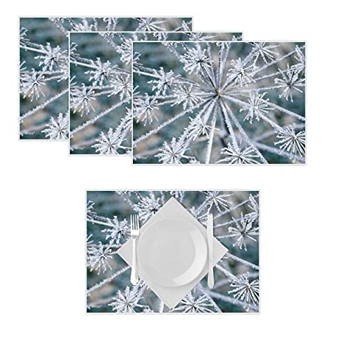 Artipics Tischsets Winterzauber Platzsets Abwaschbar Kunststoff 4 Stück von ARTIPICS