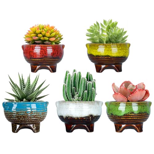 ARTKETTY 10 cm Keramik Sukkulente Pflanzgefäße Töpfe Mini Kaktus Pflanze Töpfe Moderne Glasiert Blumentöpfe Mit Drainageloch Perfekt Für Schreibtisch oder Windowsill (5 In Set) von ARTKETTY