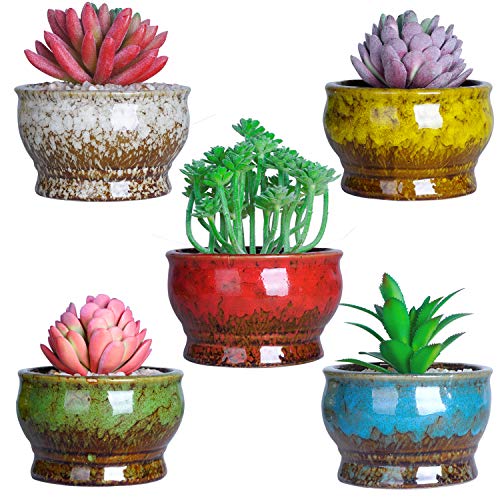 ARTKETTY 11 cm Moderne Keramik Sukkulente Pflanzgefäße Kaktus Töpfe Mit Drainageloch Mini Glasiert Blumenpflanze Containers winzige Töpfe Für Miniaturpflanzen 5er-Set von ARTKETTY
