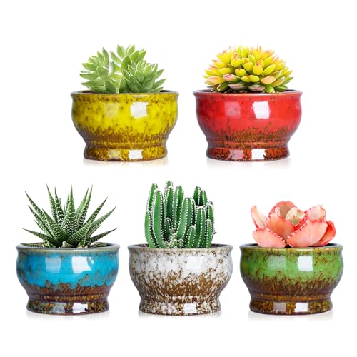ARTKETTY 11 cm Moderne Keramik Sukkulente Pflanzgefäße Kaktus Töpfe Mit Drainageloch Mini Glasiert Blumenpflanze Containers winzige Töpfe Für Miniaturpflanzen 5er-Set von ARTKETTY