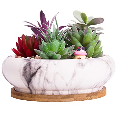 ARTKETTY 18,5 cm Rund Sukkulente Pflanzgefäße Töpfe Mit Drainageloch Bonsai Töpfe Garten Dekorative Kaktusständer Keramik Glasiert Kaktus Blumentöpfe Mit Bambusuntersetzer ARTKETTY 18,5 cm Rund Sukkulente Pflanzgefäße Töpfe Mit Drainageloch Bonsai Töpfe Garten Dekorative Kaktusständer Keramik Glasiert Kaktus Blumentöpfe Mit Bambusuntersetzer von ARTKETTY