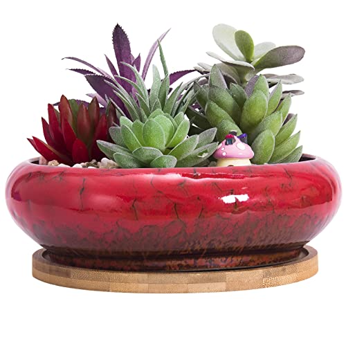 ARTKETTY 18,5 cm Rund Sukkulente Pflanzgefäße Töpfe Mit Drainageloch Bonsai Töpfe Garten Dekorative Kaktusständer Keramik Glasiert Kaktus Blumentöpfe Rot, Mit Bambusuntersetzer ARTKETTY 18,5 cm Rund Sukkulente Pflanzgefäße Töpfe Mit Drainageloch Bonsai Töpfe Garten Dekorative Kaktusständer Keramik Glasiert Kaktus Blumentöpfe Rot, Mit Bambusuntersetzer von ARTKETTY