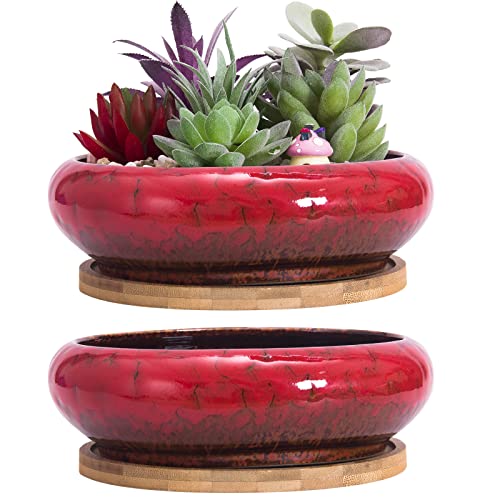 ARTKETTY 18,5 cm Rund Sukkulente Pflanzgefäße Töpfe Mit Drainageloch Bonsai Töpfe Garten Dekorative Kaktusständer Keramik Glasiert Kaktus Blumentöpfe Rot von ARTKETTY