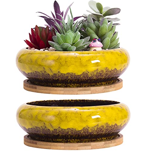 ARTKETTY 18,5 cm Rund Sukkulente Pflanzgefäße Töpfe Mit Drainageloch Bonsai Töpfe Garten Dekorative Kaktusständer Keramik Glasiert Kaktus Blumentöpfe Gelb von ARTKETTY