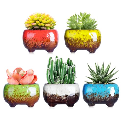ARTKETTY Moderne Sukkulente Pflanzgefäße Töpfe - 12 cm Keramik Sukkulenten Übertöpfe Töpfe Mini Glasiert Blumentopf Mit Drainageloch Perfekt Für Schreibtisch oder Windowsill (5 In Set) von ARTKETTY