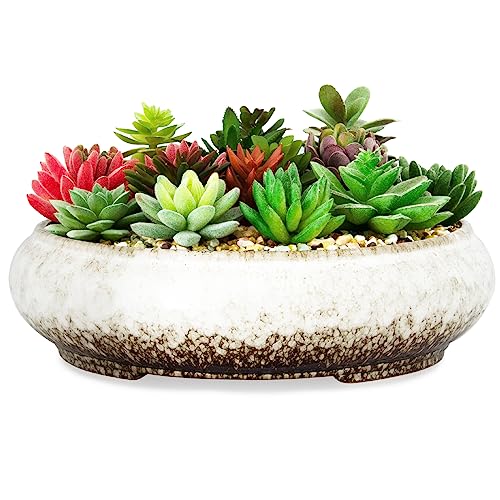ARTKETTY Pflanztopf – 29 cm großer Bonsai-Topf mit Drainage, flacher Keramik-Sukkulenten-Blumentopf, für Innen- und Außenbereich, glasierte Kaktusblume, Pflanzgefäß, Schale für Zuhause, Garten, ARTKETTY Pflanztopf – 29 cm großer Bonsai-Topf mit Drainage, flacher Keramik-Sukkulenten-Blumentopf, für Innen- und Außenbereich, glasierte Kaktusblume, Pflanzgefäß, Schale für Zuhause, Garten, von ARTKETTY
