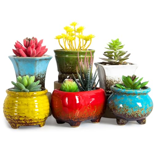 ARTKETTY Sukkulentententöpfe – Kleine Sukkulenten-Blumentöpfe mit Drainage, 6 Stück, Keramik-Kaktus-Pflanztöpfe für den Innenbereich, einzigartiger Blumen-Pflanzgefäß für Zuhause, Büro, Dekoration von ARTKETTY