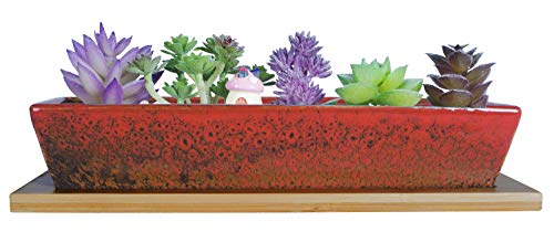 ARTKETTY Sukkulententententöpfe, 24,8 cm, Keramik-Sukkulenten-Pflanzgefäße mit Drainage, kleiner Bonsai-Topf mit Bambus-Tablett, Mini-Kaktus-Blumentopf, flach, rechteckig, Fenster-Pflanzgefäße für von ARTKETTY