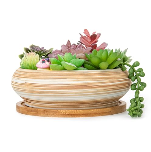 ARTKETTY Sukkulentententöpfe – 18 cm große Blumentöpfe aus Keramik, Bonsai-Töpfe mit Drainageständer, flache Sukkulenten-Übertöpfe für Zimmerpflanzen, dekorative Blume, Kaktus, Pflanzschale von ARTKETTY
