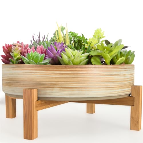 ARTKETTY Sukkulentententöpfe – 27,9 cm große Pflanztöpfe aus Keramik, Bonsai-Töpfe mit Drainageständer, flache Sukkulenten-Übertöpfe für Zimmerpflanzen, dekorative Blume, Kaktus, Pflanzschale ARTKETTY Sukkulentententöpfe – 27,9 cm große Pflanztöpfe aus Keramik, Bonsai-Töpfe mit Drainageständer, flache Sukkulenten-Übertöpfe für Zimmerpflanzen, dekorative Blume, Kaktus, Pflanzschale von ARTKETTY