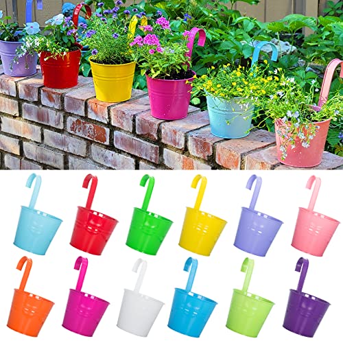 Hängende Blumentöpfe mit Drainageloch, 16 cm, 12 Stück, große Metall-Hängepflanzgefäße mit abnehmbarem Haken, Garten, Blumenvase, Eimer für Innen- und Außenbereich, für Balkon, Zaun, Heimdekoration Hängende Blumentöpfe mit Drainageloch, 16 cm, 12 Stück, große Metall-Hängepflanzgefäße mit abnehmbarem Haken, Garten, Blumenvase, Eimer für Innen- und Außenbereich, für Balkon, Zaun, Heimdekoration von ARTKETTY