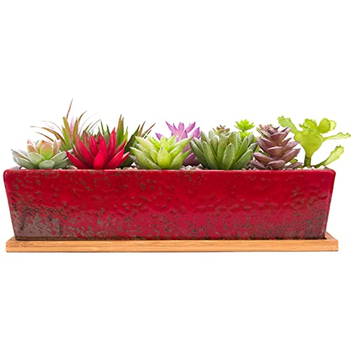 Sukkulententententöpfe – 31,3 cm große Sukkulenten-Pflanzgefäße mit Drainageschale, Lange, rechteckige Keramiktöpfe für Kakteen/Sukkulenten, Flache Bonsai-Fensterbox für Zuhause, Garten, Dekoration Sukkulententententöpfe – 31,3 cm große Sukkulenten-Pflanzgefäße mit Drainageschale, Lange, rechteckige Keramiktöpfe für Kakteen/Sukkulenten, Flache Bonsai-Fensterbox für Zuhause, Garten, Dekoration von ARTKETTY