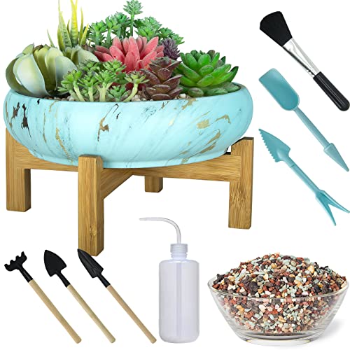 Sukkulentententöpfe mit Entwässerung, 25.4 cm, Kaktus-Blumentopf, plus Sukkulenten-Pflanzwerkzeug-Set & 1 kg Mischkieselsteine Sukkulentententöpfe mit Entwässerung, 25.4 cm, Kaktus-Blumentopf, plus Sukkulenten-Pflanzwerkzeug-Set & 1 kg Mischkieselsteine von ARTKETTY
