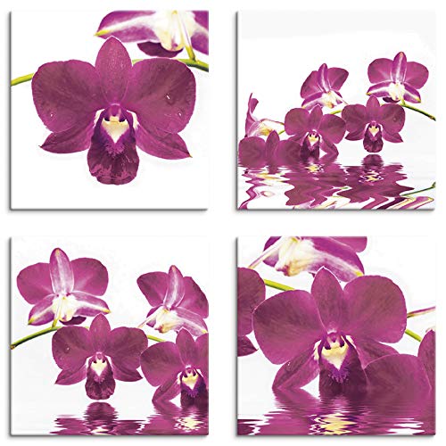 ARTLAND Blumenbilder Leinwandbilder Set 4tlg. je 30x30 cm Quadratisch Wandbilder Natur Blumen Orchidee Phalaenopsis K2IW von ARTLAND