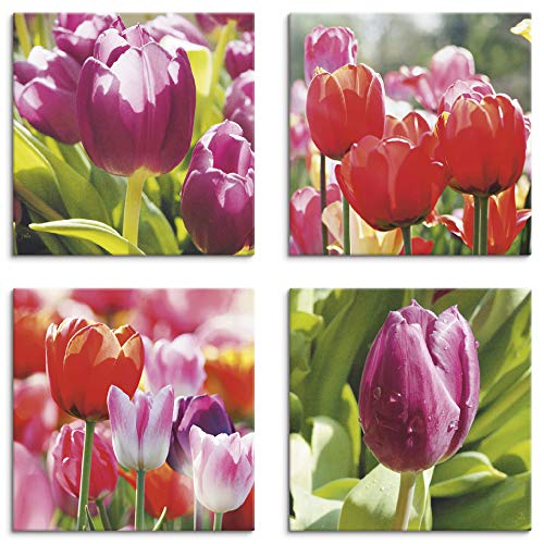 ARTLAND Blumenbilder Leinwandbilder Set 4tlg. je 30x30 cm Quadratisch Wandbilder Natur Blumen Tulpe Frühling Tulpen S6ML von ARTLAND