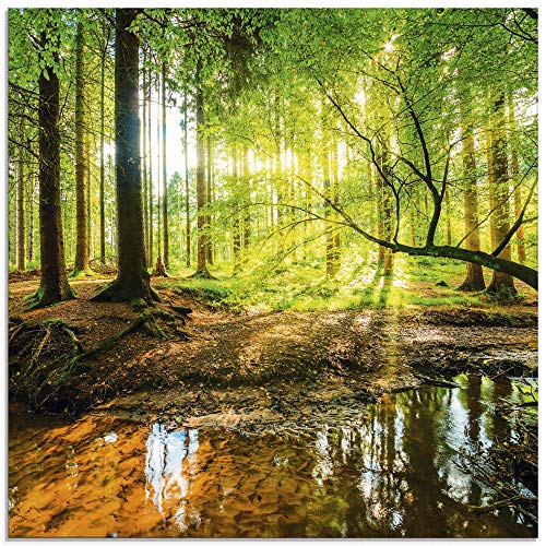 Glasbilder Wandbild Glas Bild einteilig 20x20 cm Quadratisch Wald Natur Landschaft Bäume Bach Sonne Frühling T9IO ARTland von ARTLAND