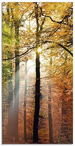 Glasbilder Wandbild Glas Bild einteilig 30x60 cm Hochformat Natur Landschaft Wald Herbst Sonne Bäume Landhaus T5VL ARTland von ARTLAND