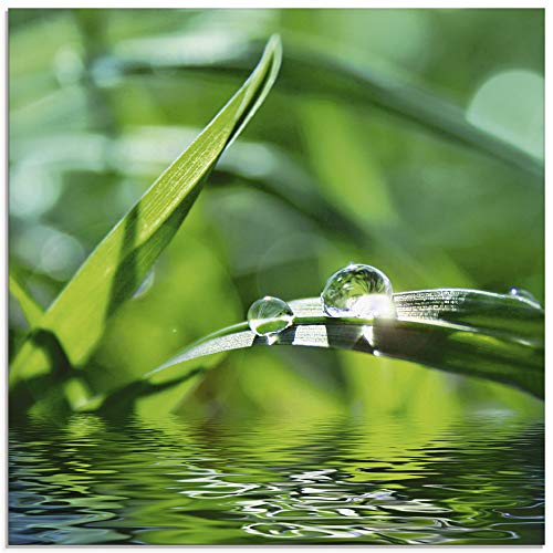 ARTland Glasbilder Wandbild Glas Bild einteilig 50x50 cm Quadratisch Natur Botanik Pflanzen Gräser Wassertropfen Gras Sommer Sonne Grün T5SE von ARTLAND