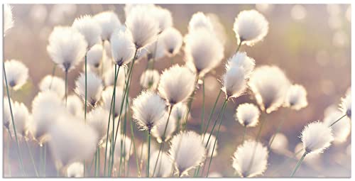 ARTland Wandbild Alu Verbundplatte für Innen & Outdoor Bild 60 x 30 cm Natur Zauber Idyll Frühling Moor Pflanzen Gräser Blumen Wollgras T2BZ von ARTLAND