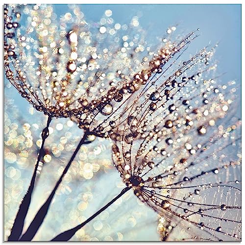 ARTland Wanddeko Glasbilder Wandbild Glas Bild einteilig 50 x 50 cm Quadratisch Innere Ruhe Wellness Pflanzen Blumen Pusteblume Wasser Regen Tau Sonnenfänger S9LQ von ARTLAND