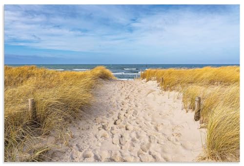 ARTland Wanddeko Wandbild Alu Verbundplatte für Innen & Outdoor Bild 60x40 cm Landschaften Strand Küste Idyll Sand Gräser Ostsee Graal Müritz U4ZF ARTland Wanddeko Wandbild Alu Verbundplatte für Innen & Outdoor Bild 60x40 cm Landschaften Strand Küste Idyll Sand Gräser Ostsee Graal Müritz U4ZF von ARTLAND