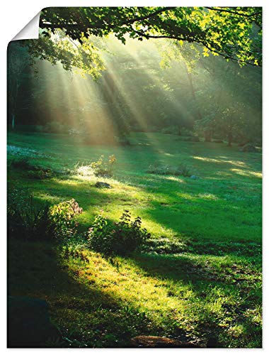 ARTLAND Wanddeko Poster & Kunstdrucke Wandposter 45x60 cm Natur Landschaft Wald Sonne Wiese Landhaus Modern T5XX von ARTLAND
