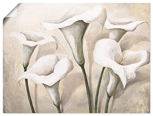 ARTLAND Wanddeko Poster & Kunstdrucke Wandposter 80x60 cm Pflanzen- & Blumen Blumen Calla T4KI von ARTLAND
