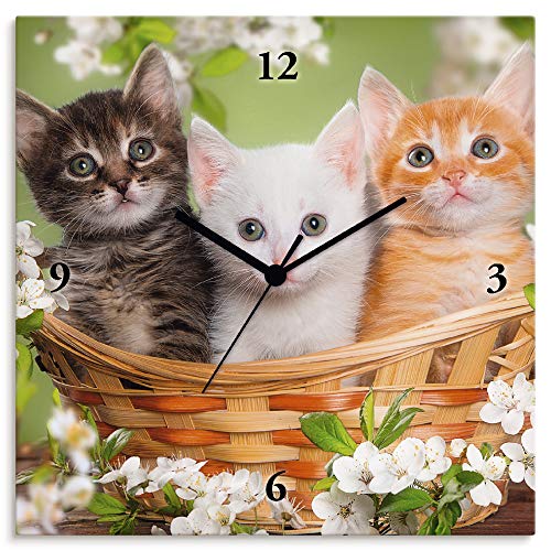 ARTLAND Wanduhr ohne Tickgeräusche Leinwand Funkuhr 30x30 cm Quadratisch Lautlos Katze Tiere Katzenbaby Blumen Lustig Mädchen T6BM von ARTLAND