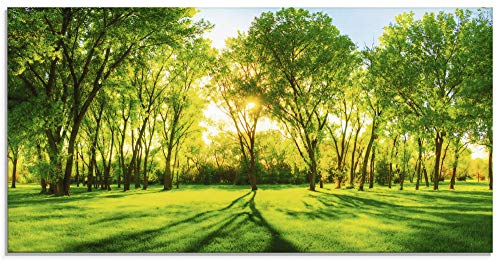 Glasbilder Wandbild Glas Bild einteilig 100x50 cm Querformat Natur Wald Sonne Landschaft Frühling Wiese Bäume Grün T2OP ARTland von ARTLAND