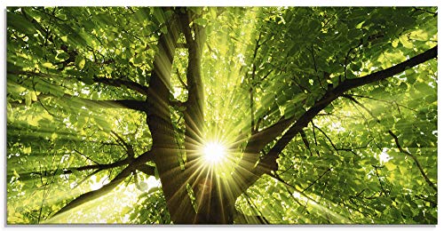 ARTland Wanddeko Glasbilder Wandbild Glas Bild einteilig 100x50 cm Querformat Wald Natur Botanik Bäume Laubbaum Sonne Baum Sommer T5GQ von ARTLAND