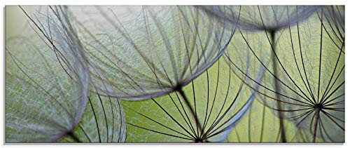 ARTland Glasbilder Wandbild Glas Bild einteilig 125x50 cm Querformat Natur Botanik Blumen Pusteblume Frühling Grün T5PP von ARTLAND