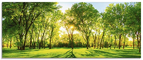 Glasbilder Wandbild Glas Bild einteilig 125x50 cm Querformat Natur Wald Sonne Landschaft Frühling Wiese Bäume Grün T2OP ARTland von ARTLAND