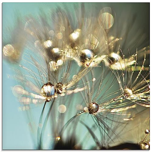 ARTland Wanddeko Glasbilder Wandbild Glas Bild einteilig 20 x 20 cm Quadratisch Innere Ruhe Wellness Natur Pflanzen Blumen Pusteblume Regen Tau Tropfen Gold Sonnenaufgang S9LP ARTland Wanddeko Glasbilder Wandbild Glas Bild einteilig 20 x 20 cm Quadratisch Innere Ruhe Wellness Natur Pflanzen Blumen Pusteblume Regen Tau Tropfen Gold Sonnenaufgang S9LP von ARTLAND