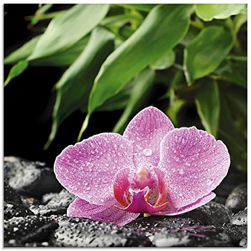 ARTland Glasbilder Wandbild Glas Bild einteilig 20x20 cm Quadratisch Natur Asien Botanik Blumen Orchidee Steine Zen Entspannung Pink T5OQ von ARTLAND